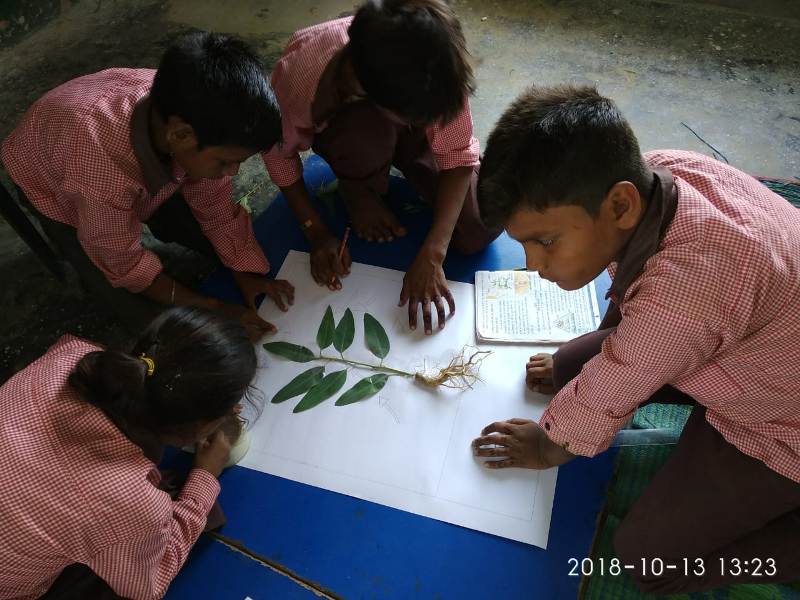 Young learners